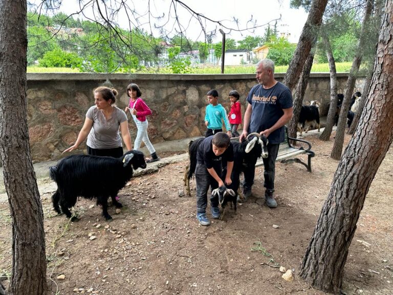 AMERİKALI VE HİNDİSTANLI HAYIRSEVERLER DEPREMZEDELERE KEÇİ DAĞITTI