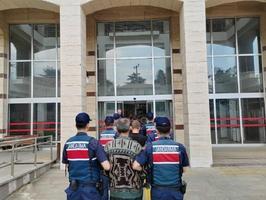 Bağ Ve Bahçelerden Hırsızlık