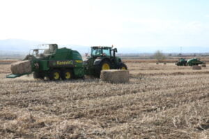 “Kenevir yatırımı milli bir projedir”