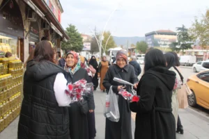 Avukatlar, Tokatlı kadınları şiddete karşı bilinçlendirmek için çalışma yaptı