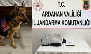 Ardahan’da cezaevine uyuşturucu sokmaya çalışan kişi yakalandı