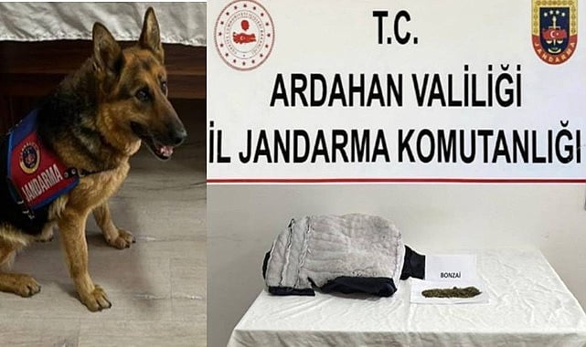 Ardahan’da cezaevine uyuşturucu sokmaya çalışan kişi yakalandı