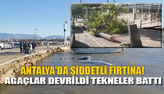 Antalya’da şiddetli fırtına! Ağaçlar devrildi tekneler battı