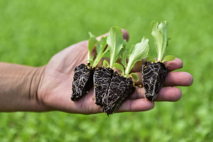 En büyük hayalim Ankaralı yerli üreticiyi zengin etmek
