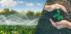 1 milyar 81 milyon TL’lik destekleme ödemesi çiftçilerin hesaplarına aktarıldı.