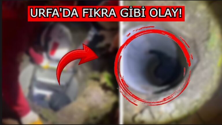 Şanlıurfa’da hırsızlığın böylesi! Bakın neye mal oldu?