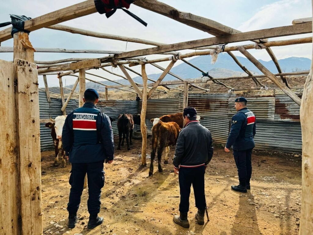 Jandarma Kaybolan Sürü İHA ile bulundu