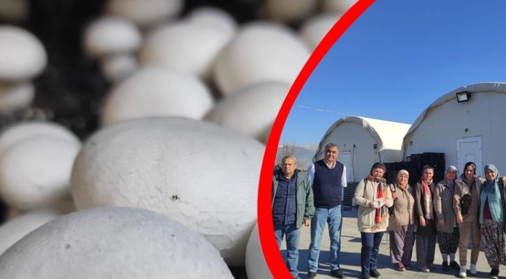 Gönen’de mantar yetiştiriciliği kursu açıldı