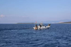 Küçük ölçekli balıkçıya destek başvuruları açıldı