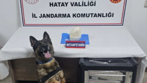 Hatay’da uyuşturucuya geçit verilmedi – Birlik Haber Ajansı- Türkiye’nin Haber Ağı