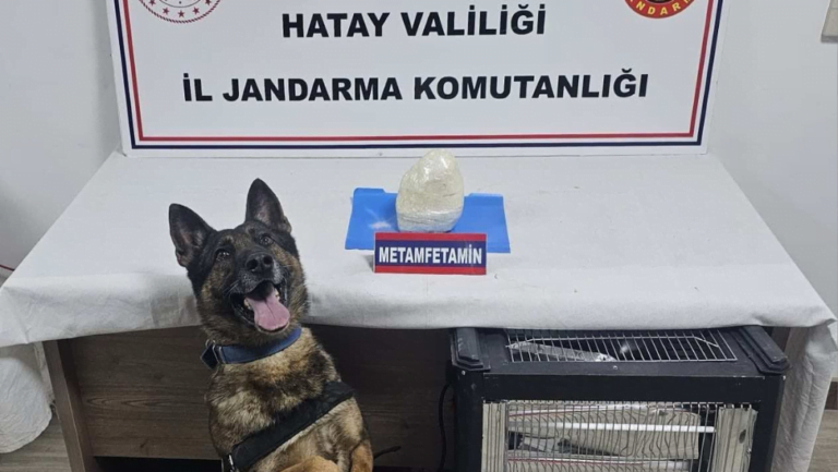 Hatay’da uyuşturucuya geçit verilmedi – Birlik Haber Ajansı- Türkiye’nin Haber Ağı