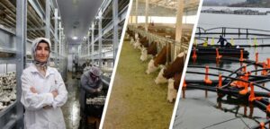 IPARD kapsamında Tarımsal Destekler 81 il kapsama alındı, Program yayınlandı