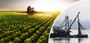 2,5 Milyar liralık Tarımsal Destekleme Ödemeleri Hesaplara Yatırıldı