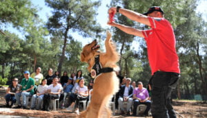ÖZEL ÖĞRENCİLERE ZEYNA İLE TERAPİ – Birlik Haber Ajansı- Türkiye’nin Haber Ağı