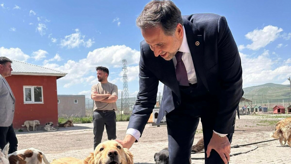 Sokak hayvanlarımızı “uyutmak” yerine onlara daha güzel koşullarda yaşam alanları sunmaktır