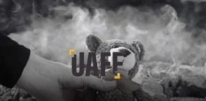 ANDA’dan Uluslararası Afet Film Festivali (UAFF) 2024