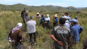 Antalya büyük yangının izleri siliniyor