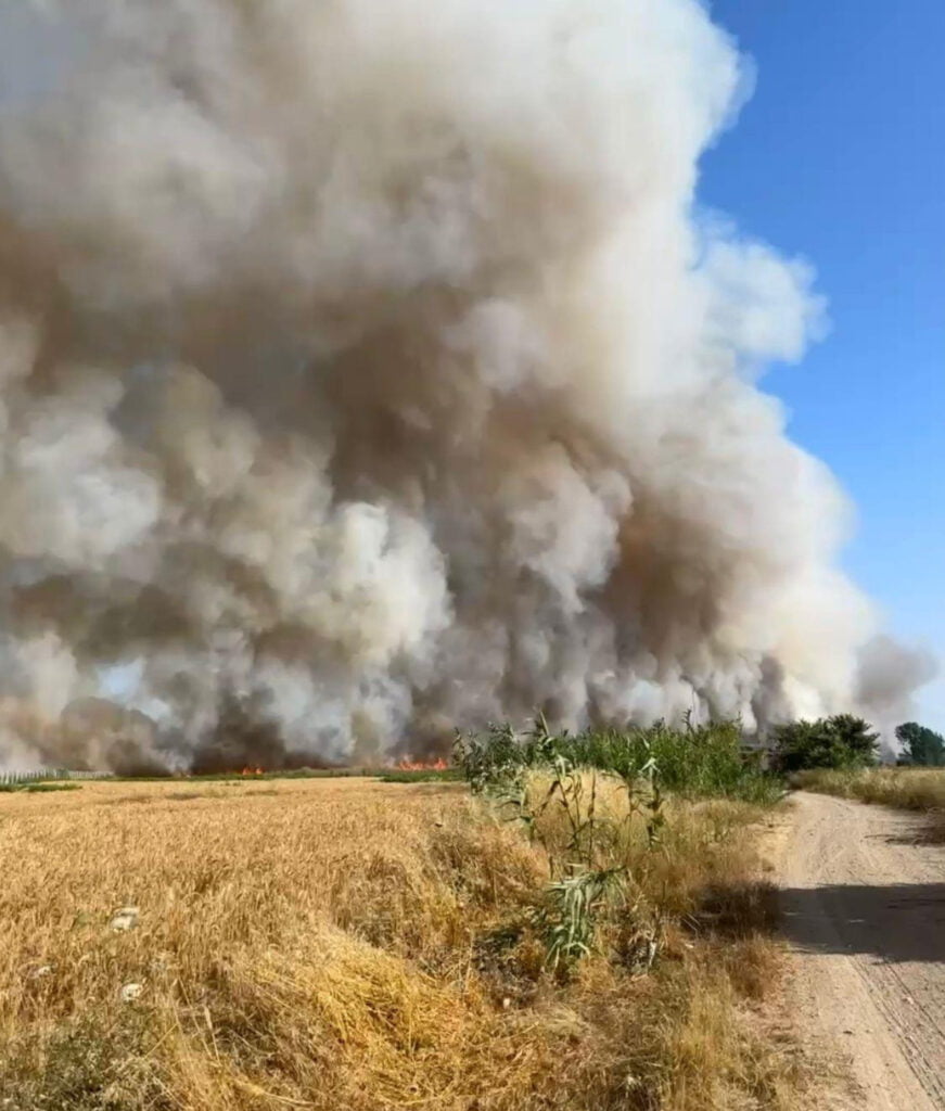 Buğday tarlasında yangın!
