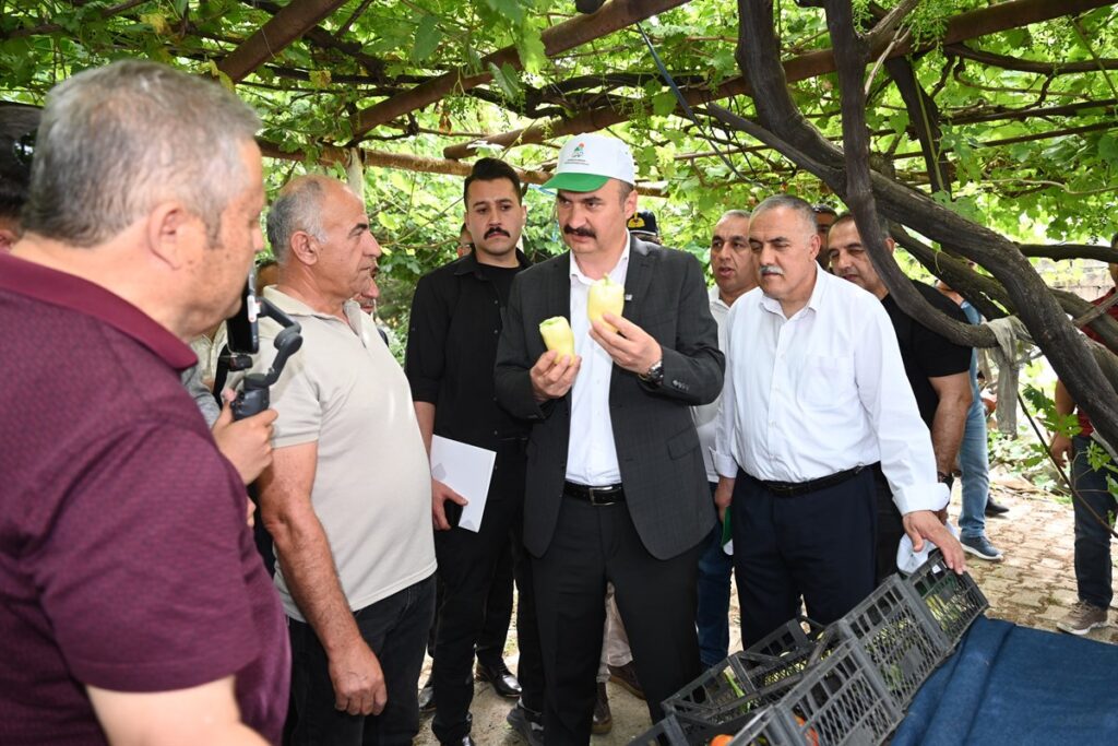 Sera kentler kurulacak