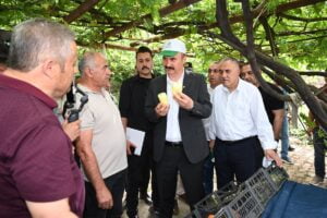 Sera kentler kurulacak