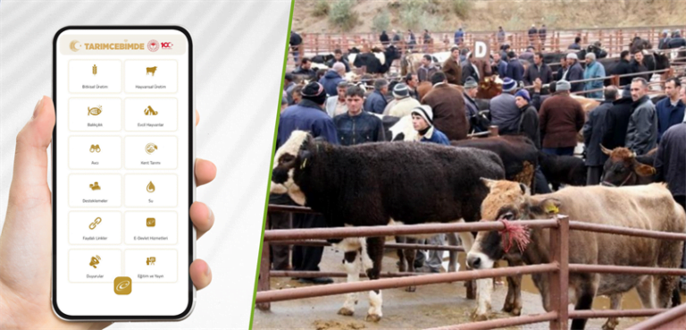 “Tarım Cebimde” ile 3 adımda kurbanlık sorgulama