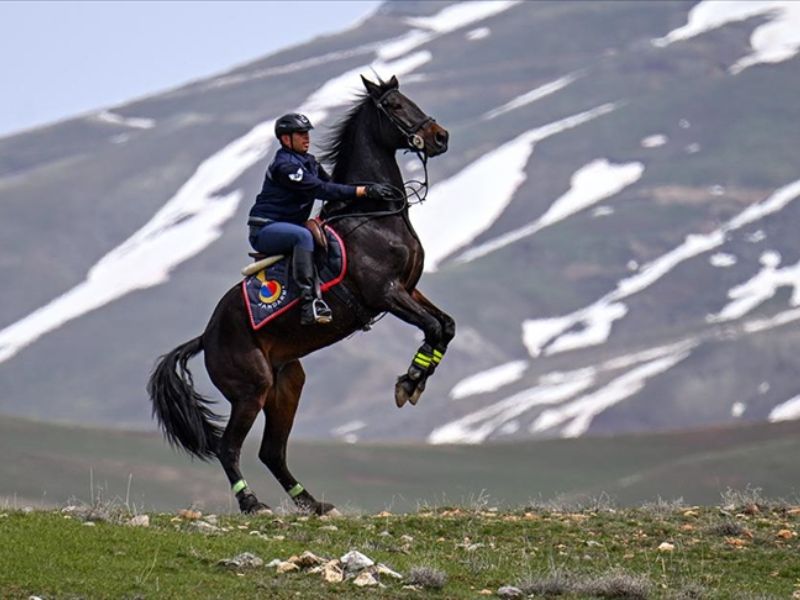 Atlı Jandarma Timi Sınır Hattında