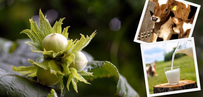 44 milyon 907 bin liralık tarımsal destekleme ödemesi çiftçilerin hesaplarına aktarıldı