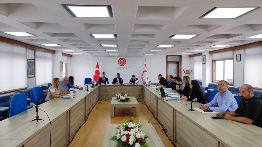 İdari, Kamu ve Sağlık İşleri Komitesi toplandı