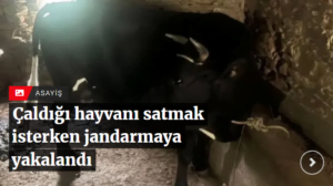 Çaldığı hayvanı satmak isterken jandarmaya yakalandı