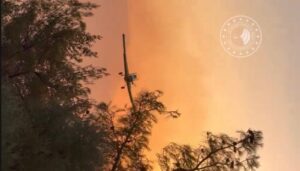 İzmir’de çıkan orman yangınları kontrol altına alındı