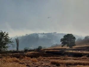 Balıkesir’deki orman yangını sürüyor