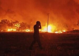 Diyarbakır ve Mardin arasında çıkan yangın kontrol altına alındı