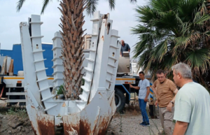 İskenderun Belediyesi’nden Ağaç Kurtarma Operasyonu
