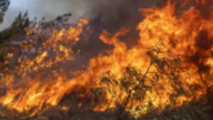 Balıkesir’de yangın kontrol altına alındı