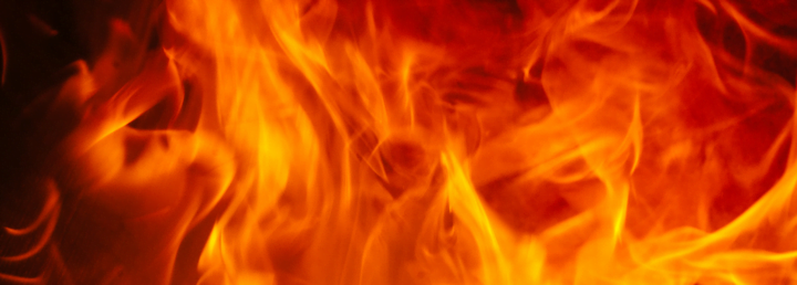 Bangkok’da pazar yangını; çok sayıda hayvan telef oldu