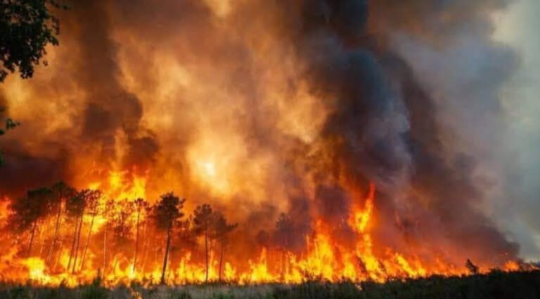 Antalya’da ormanlara girişler Ekim 2024 sonuna kadar yasaklandı