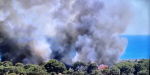 Lara ormanlık alanda yangın çıktı