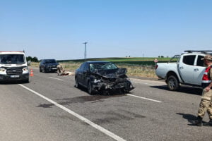 Otomobil inek sürüsüne daldı