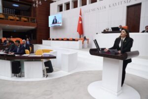 “Basın hür değildir”