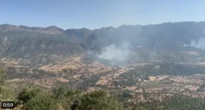 PKK’lı teröristler Türk askerinden gizlenmek için orman yakmaya başladı