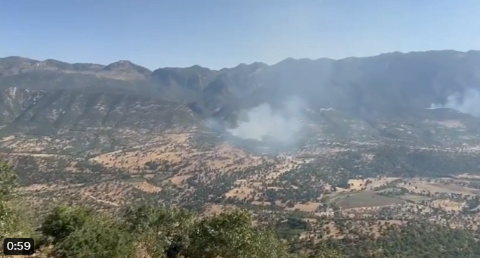 PKK’lı teröristler Türk askerinden gizlenmek için orman yakmaya başladı