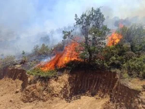 Bingöl’de 68 hektar alan yangında zarar gördü