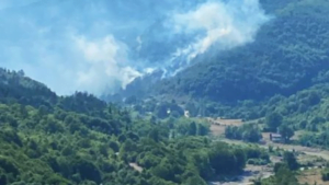 Daha biri bitmeden!.. Kastamonu’da bir yangın daha…