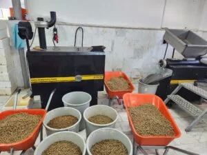 Büyükşehir Can dostlar İçin Mama Üretiyor, Tasarruf Sağlıyor