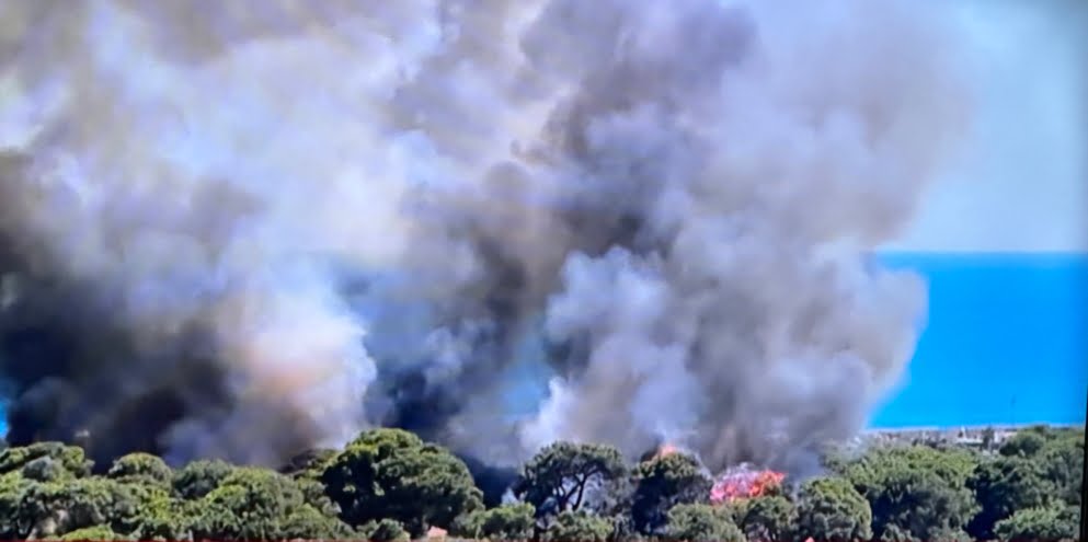 Marmaris’teki orman yangının sorumlusunun kampçılar olduğu ortaya çıktı