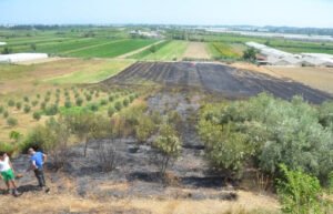 Serik’te otluk alanda çıkan yangın evlere sıçramadan söndürüldü