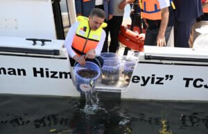 Eğirdir gölü’ne bir milyon yüz bin sazan balığı bırakıldı