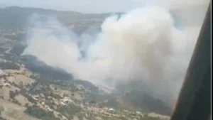 İzmir’de orman yangını: Sabuncubeli Tünelleri trafiğe kapandı