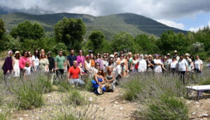 Kemer’de lavanta tanıtım etkinlikleri devam ediyor