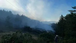 Kastamonu’daki ormanda yine yangın!